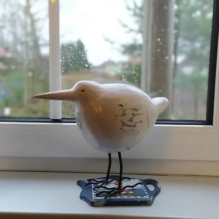 Inselromantik Ruegen, App Captains